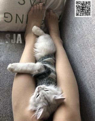 狂爱龙卷风_剧情片动漫免费观看